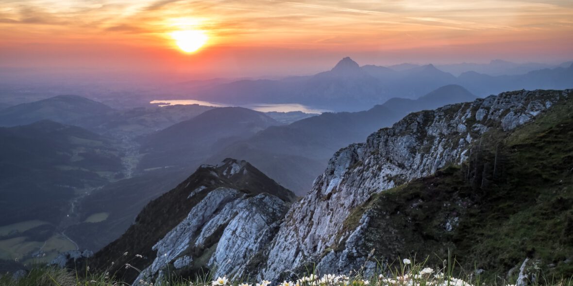 Photo by Simon Berger on Unsplash
