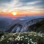 Photo by Simon Berger on Unsplash